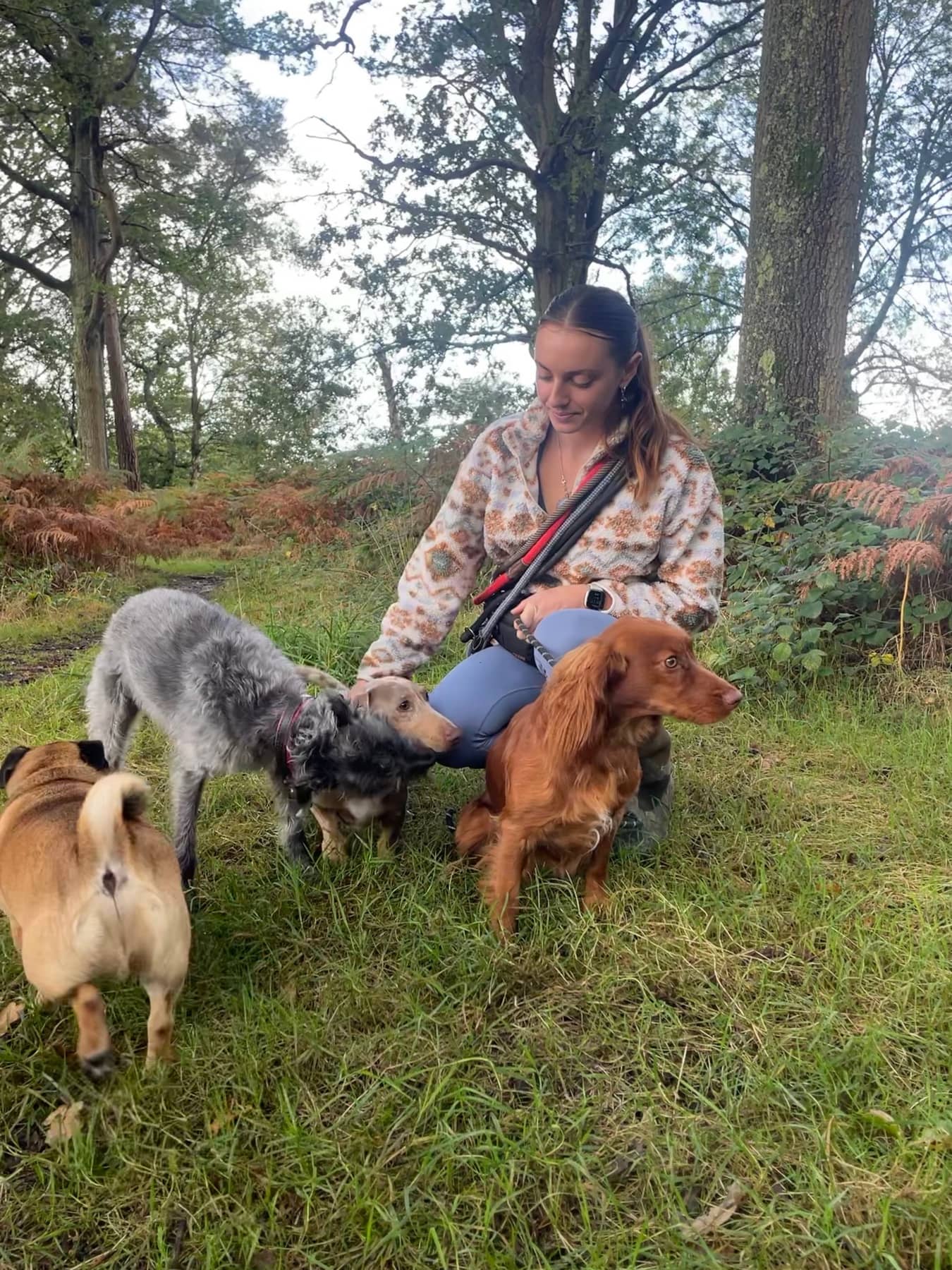 Flossie kneeling on the grass with a pack of dogs gathered around her on a woodland walk