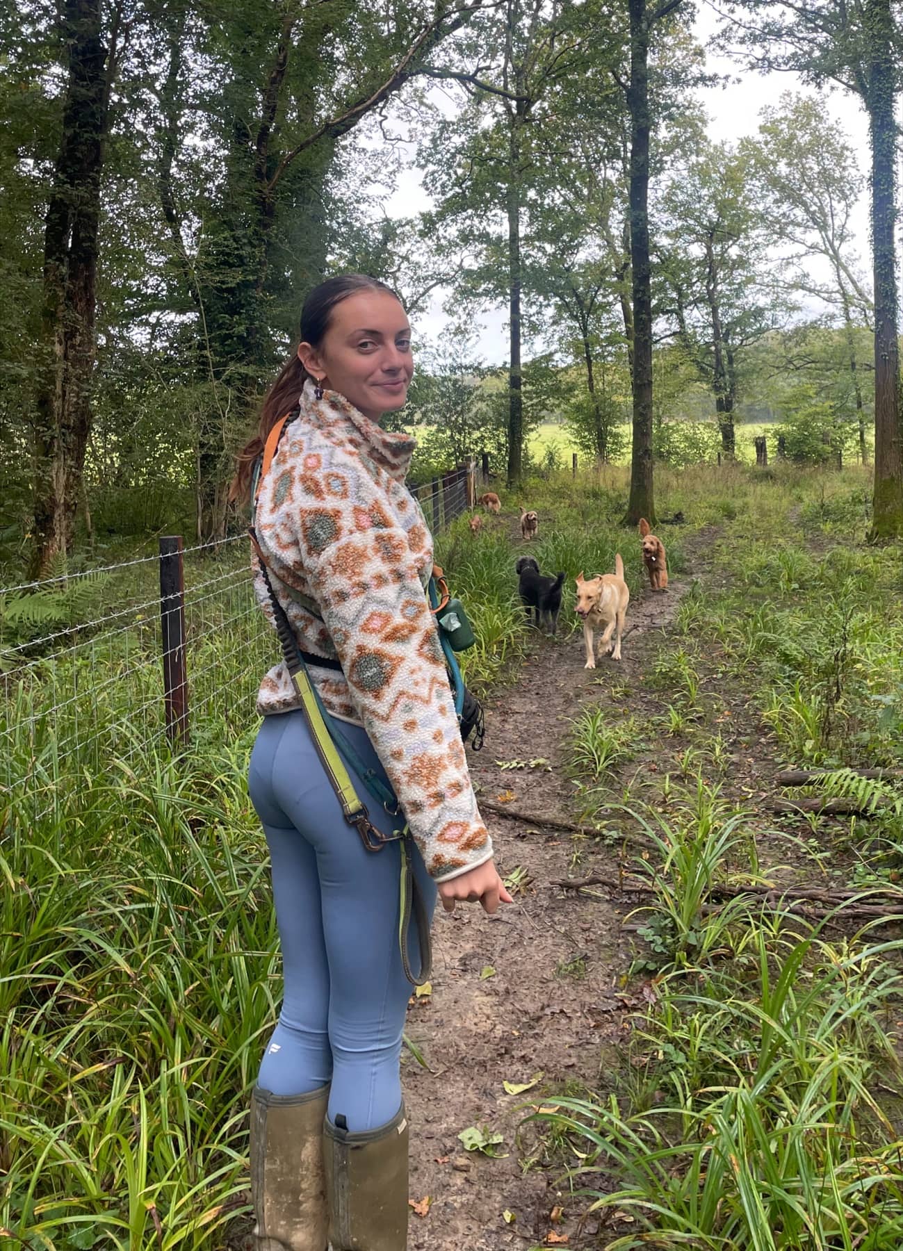 Flossie leading a group of dogs on a Horsham woodland walk